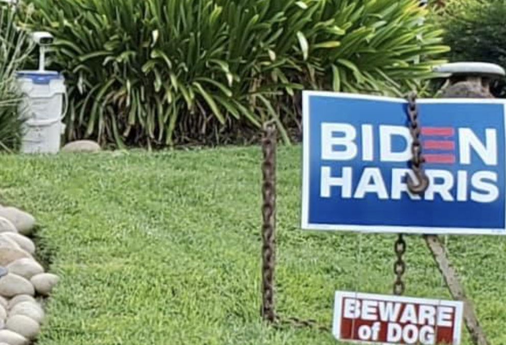 Political Sign Theft and Vandalism