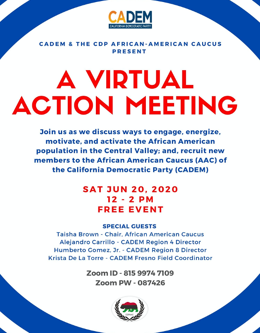 Virtual Action Meeting