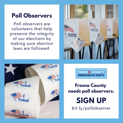 Volunteer Poll Observers Needed